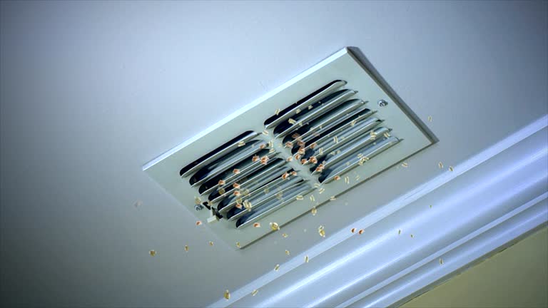 Best HVAC Air Duct Cleaning  in Lewisburg, WV