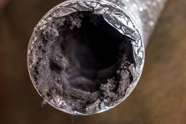 Best Local Air Duct Cleaning Services  in Lewisburg, WV